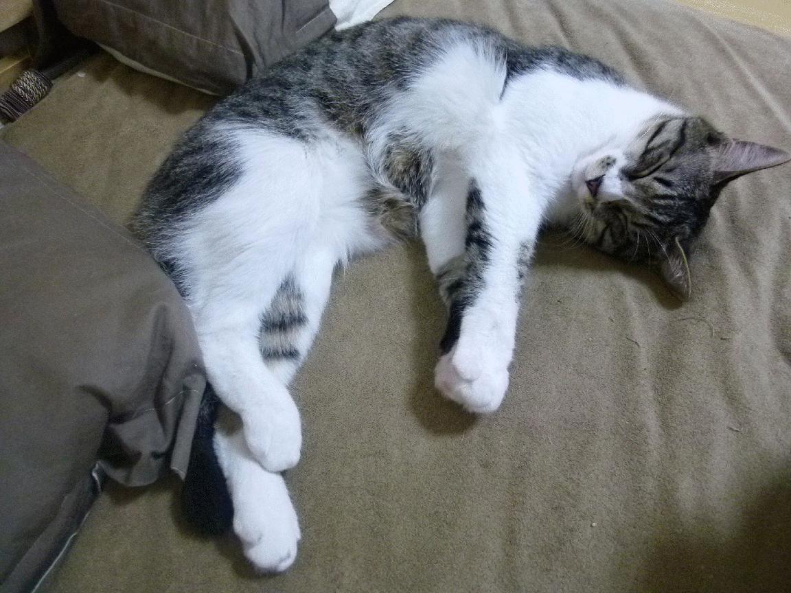 爱游戏在线娱乐官网-现场直播互动抽奖，粉丝赢取丰富奖品，直播抽奖活动方案创意