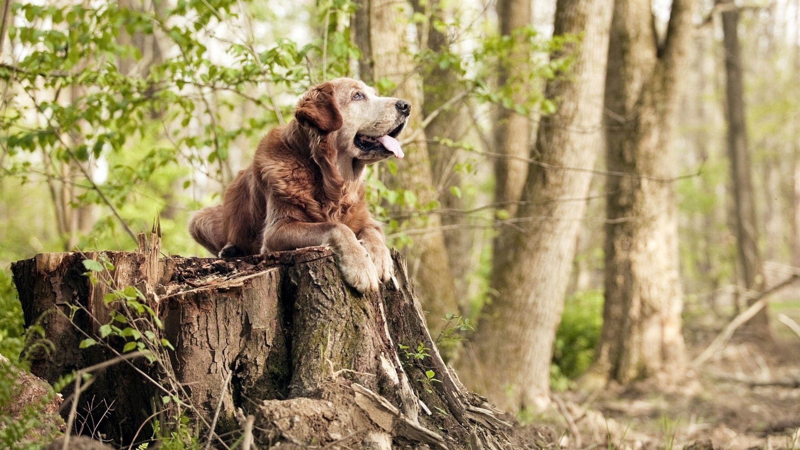 现场观众互动：投票选出“最佳亮点”，观众投票怎么算分