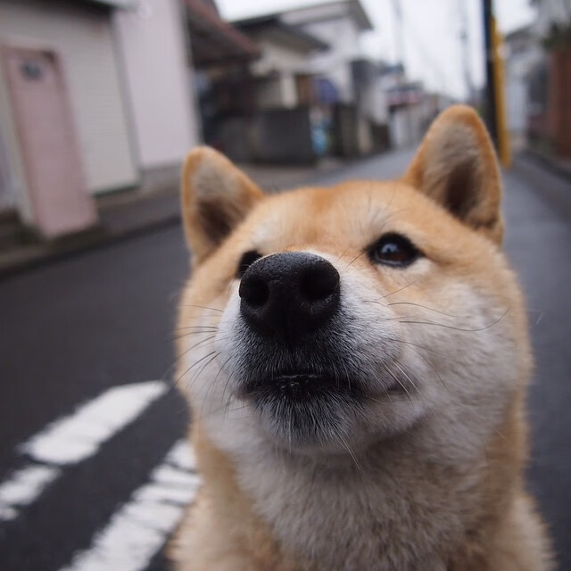 转会动态:最新交易手机详解联盟变动,联盟交易截止日