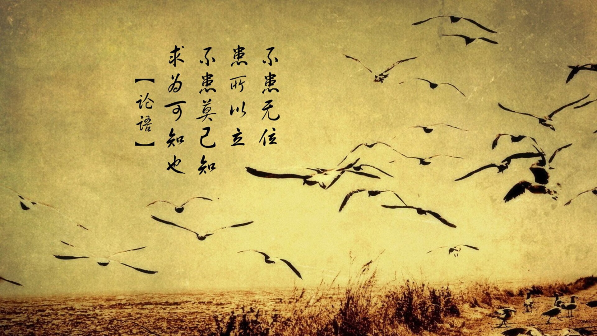 东契奇延续火热手感砍下三十五，东契奇有多强知乎