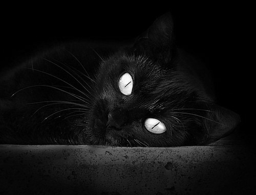 亚非篮球锦标赛震撼世界,赛场惊艳,亚非足球对抗赛