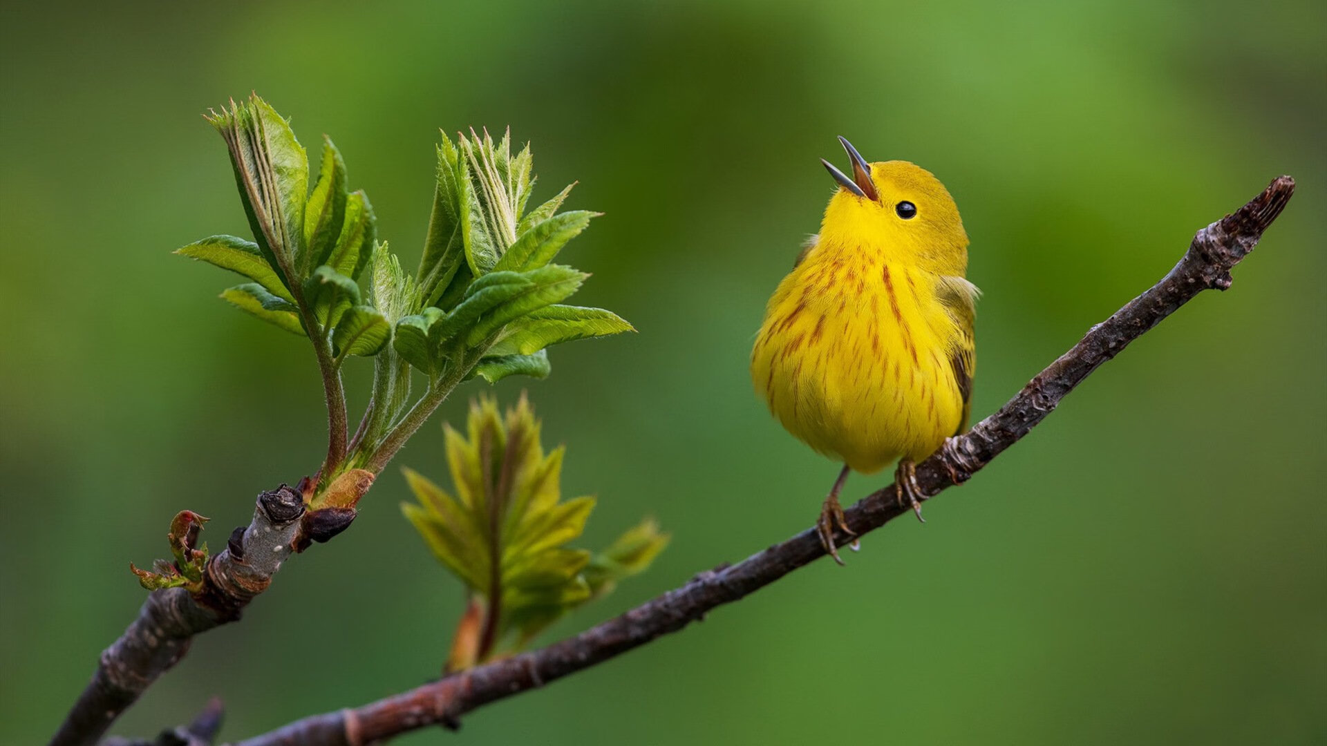 以“足球+生态文明”理念打造绿色青训新样板，青少年足球要营造一个好的大环境需要做到哪些方面