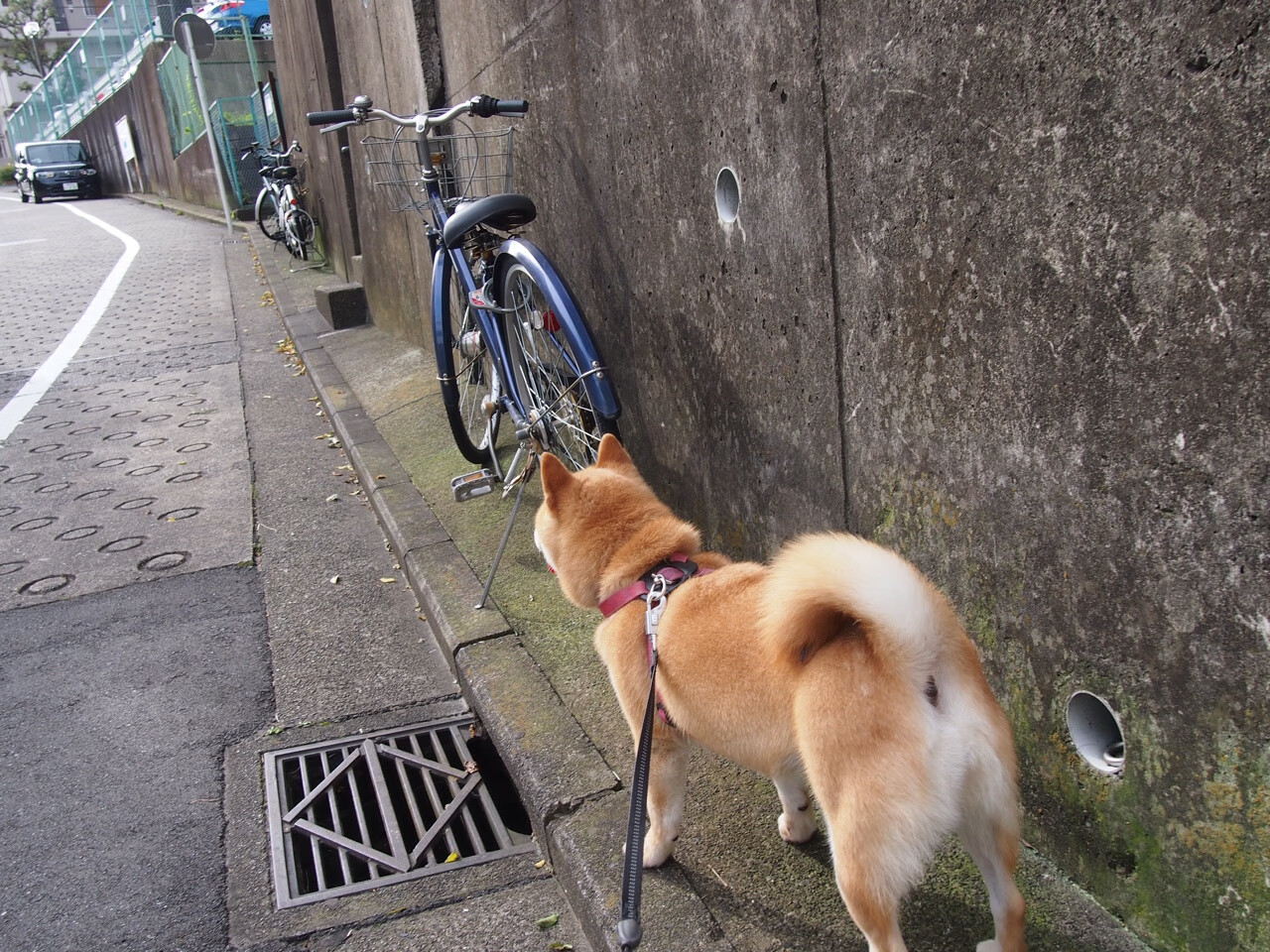 拜仁慕尼黑客场2-0战胜莱比锡，积分榜上升，拜仁慕尼黑2队