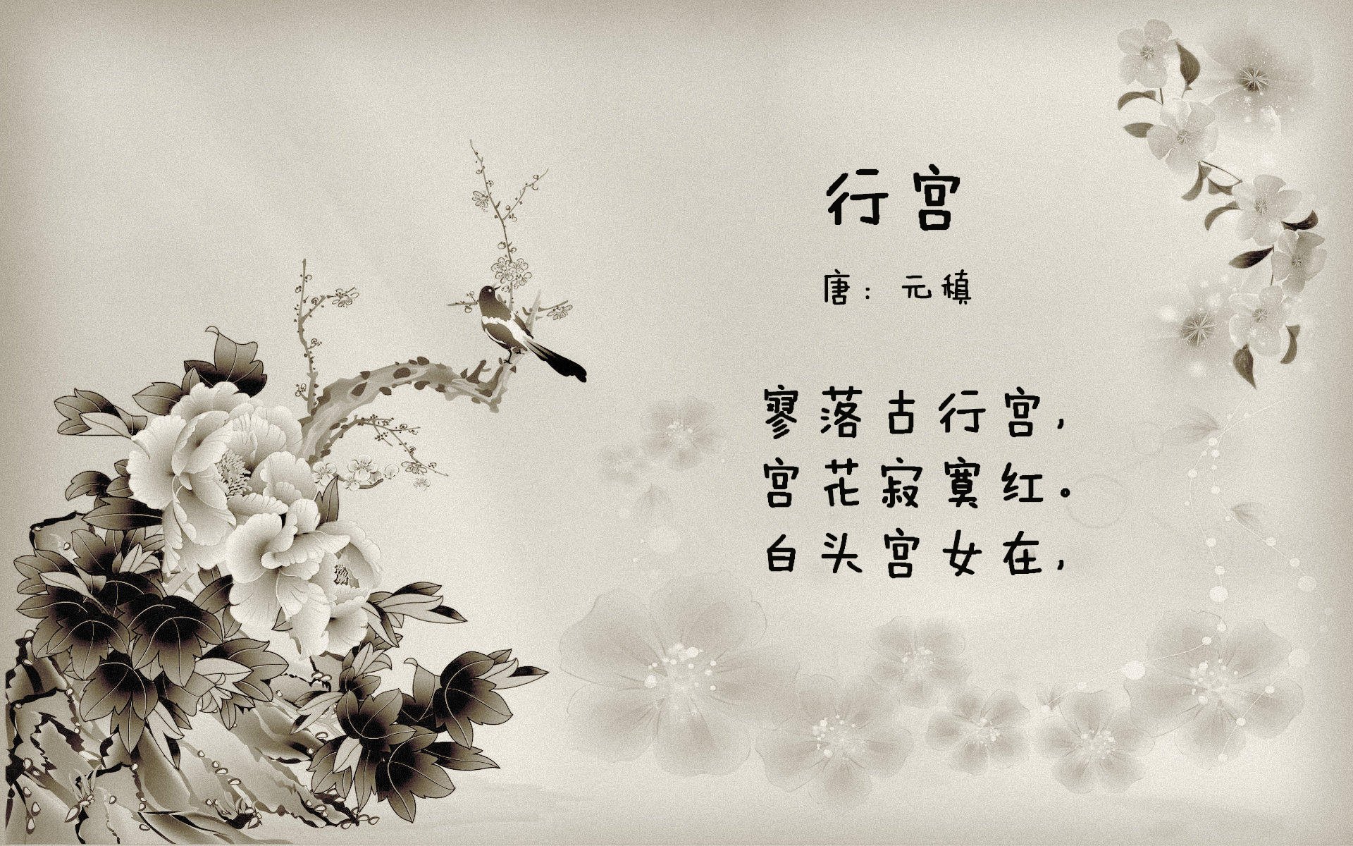 全国青少年“篮球新力量”创新赛在珠海火热举行,2021全国青少年篮球邀请赛