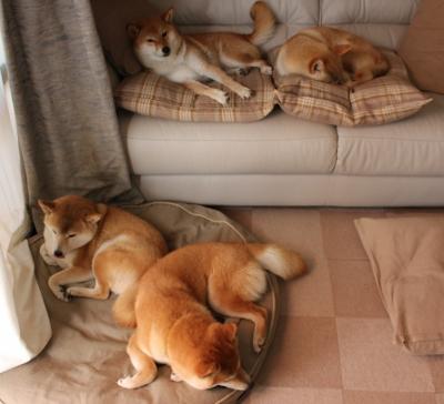 电竞直播平台多元化内容运营策略与商业变现模式探讨,电竞直播平台发展现状