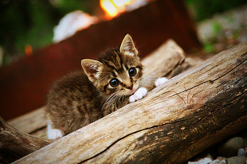 大逆转戏码：从落后到逆转的奇迹现场大盘点，游戏大逆转