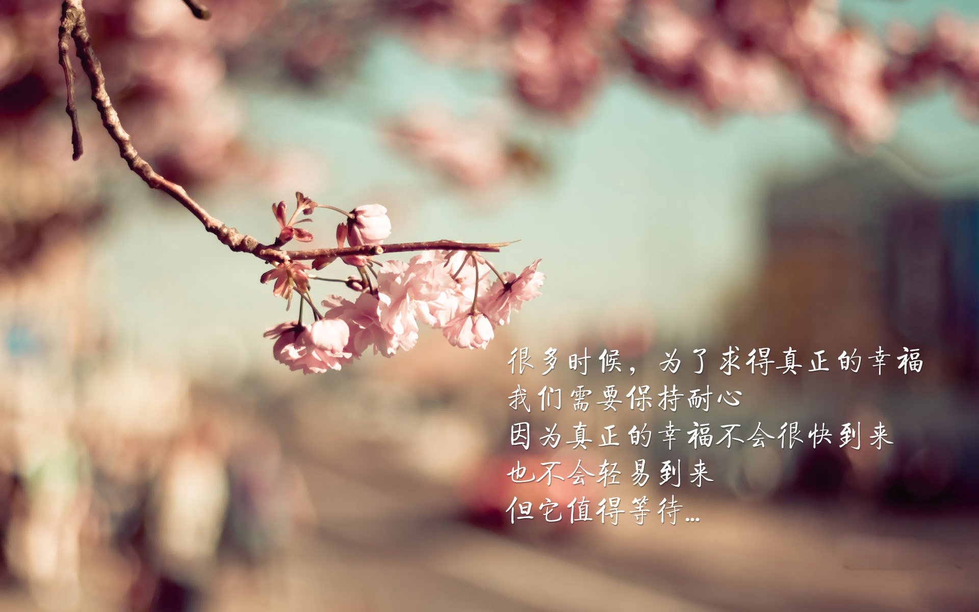 爱游戏下载-新兴市场：非洲国家台球运动快速崛起，非洲台是啥