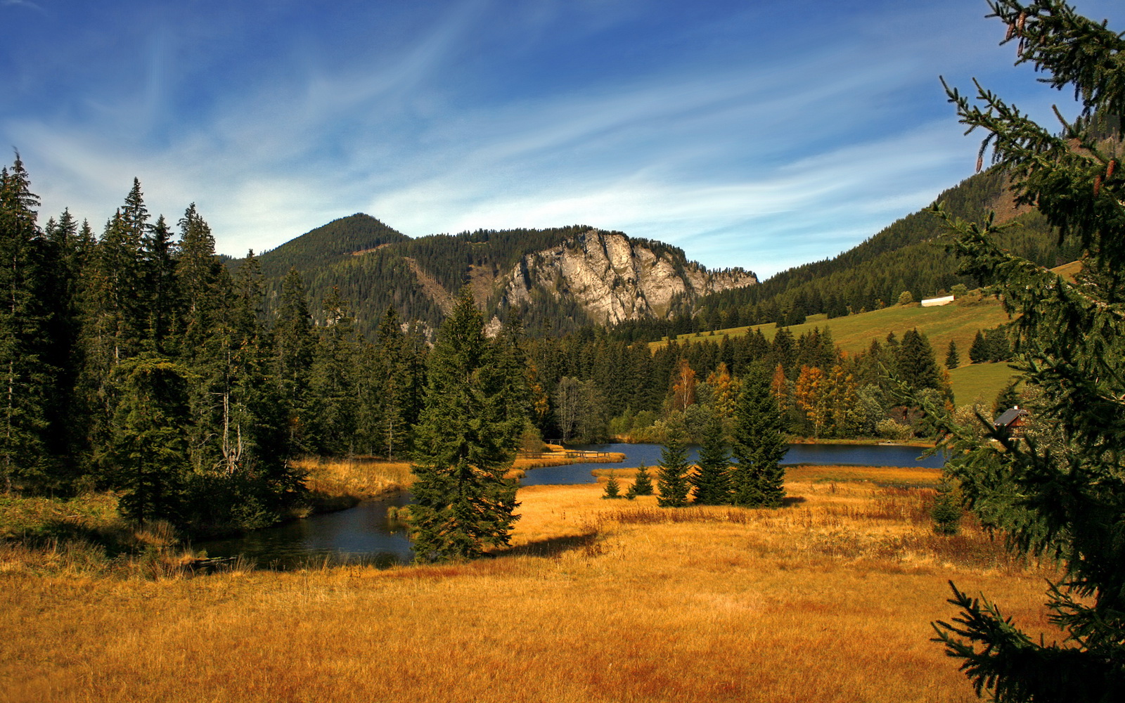 爱游戏官网-篮球公益项目带动社区体育发展，社区公益篮球活动