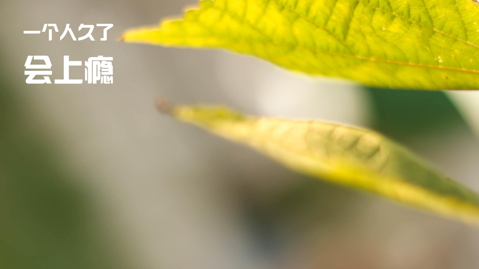 爱游戏体育官方网站-体育产业政策支持力度，体育产业政策支持力度有多大