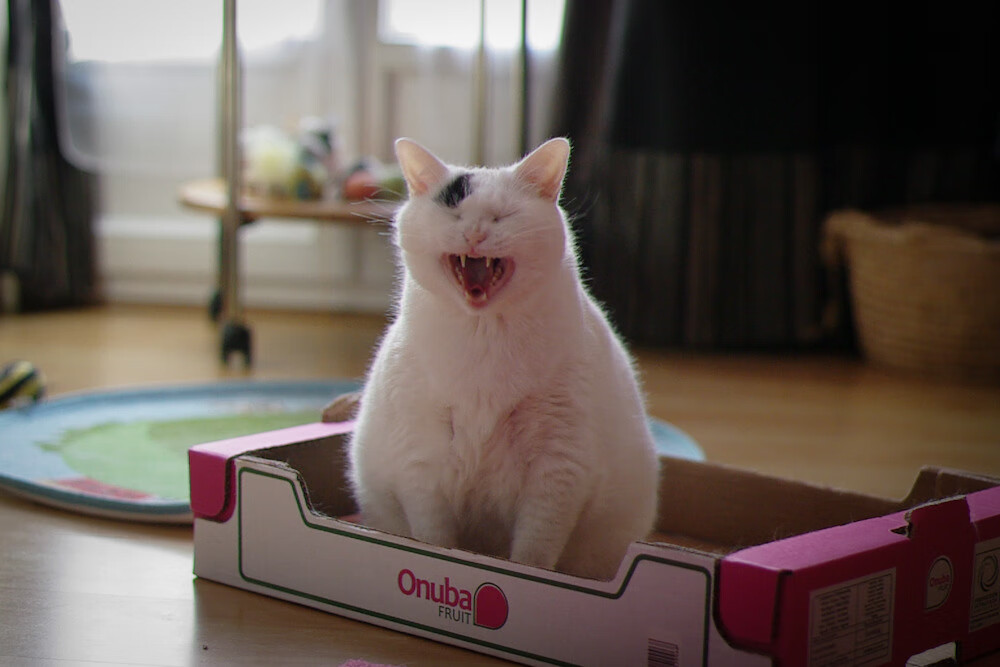 体育教师专业能力提升机制与课程改革研究,体育教师能力提升培训心得体会