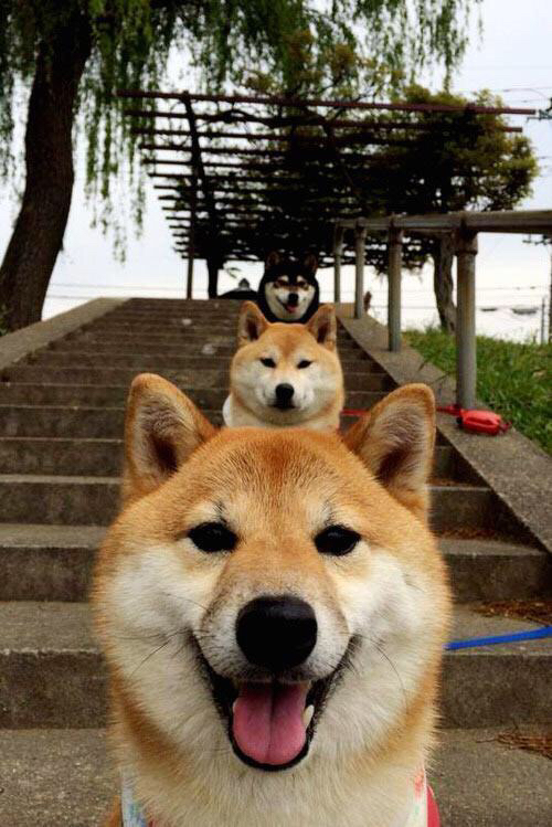 AYX体育官网-德甲球员注意力波动数据对高压失误率的影响，德甲球员注意力波动数据对高压失误率的影响有哪些