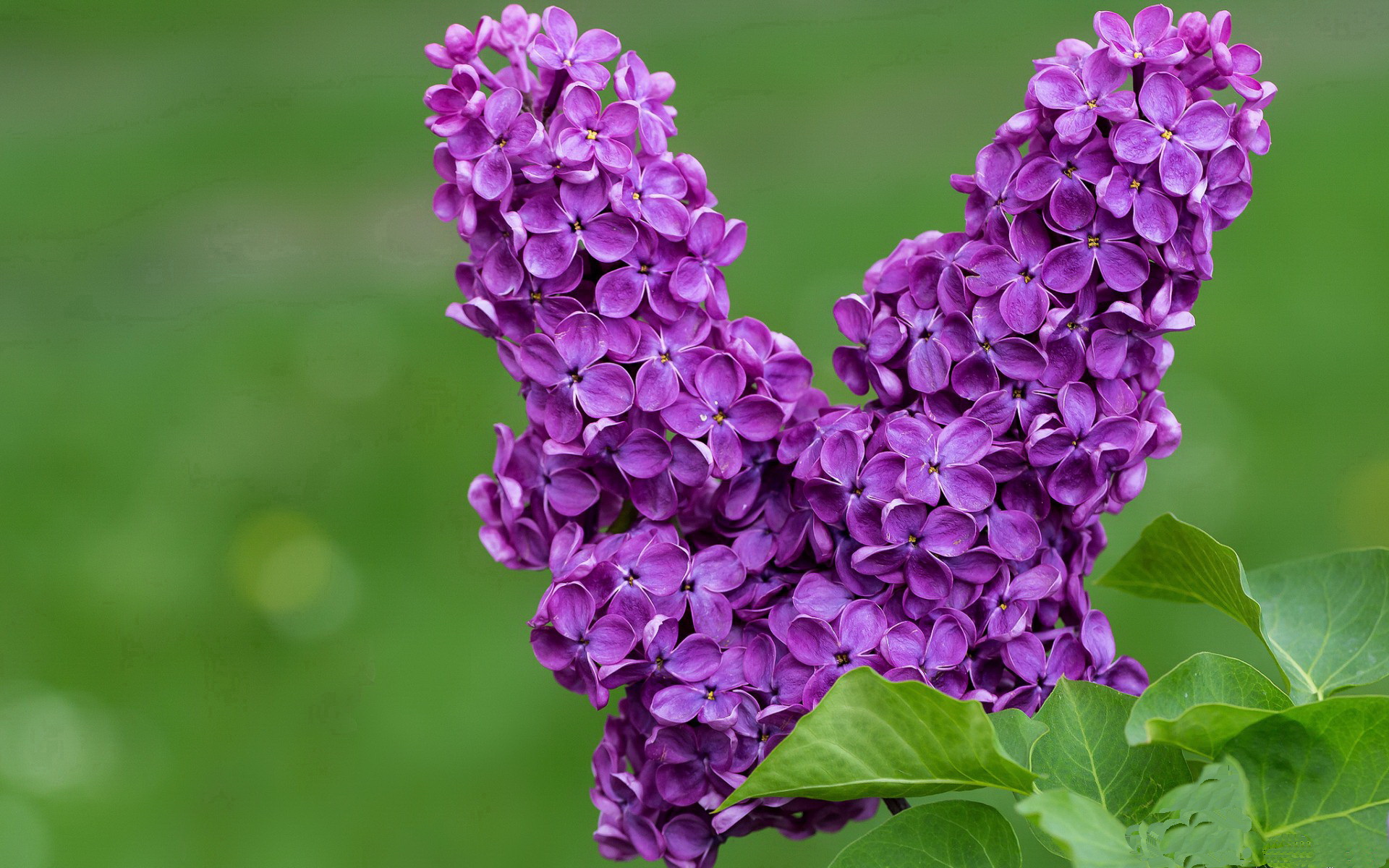 重装徒步探险,体验极限挑战的乐趣,重装 徒步