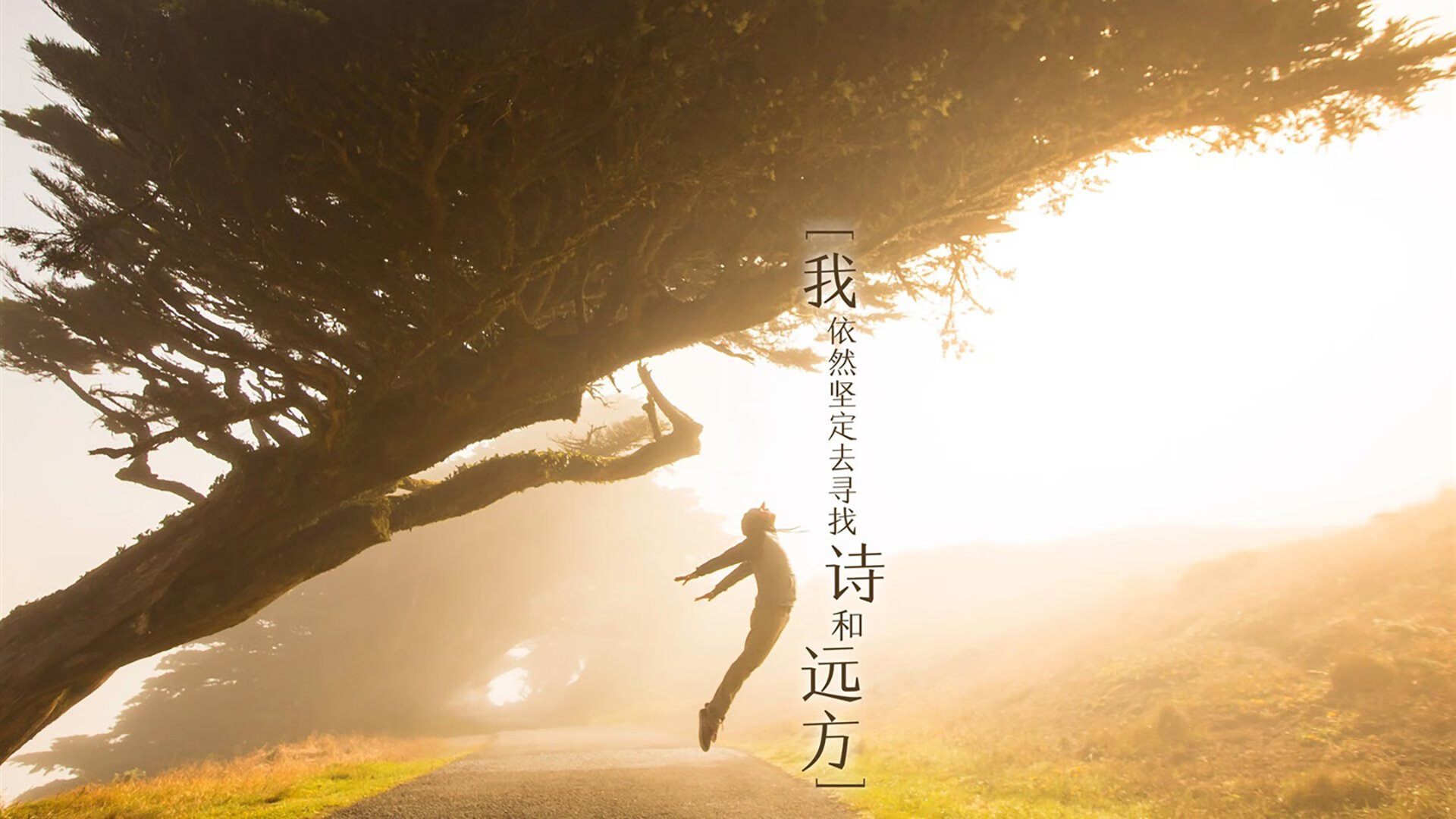 NBA总决赛东区半决赛 老鹰死磕至底，nba总决赛是东部和西部打吗