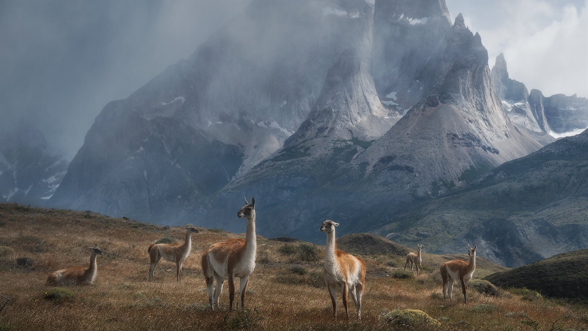 上海海港战术打法多样化,上海海港新阵容