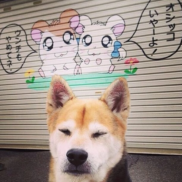 AYX GAMING-主帅否认更衣室不和传闻，主帅阵亡