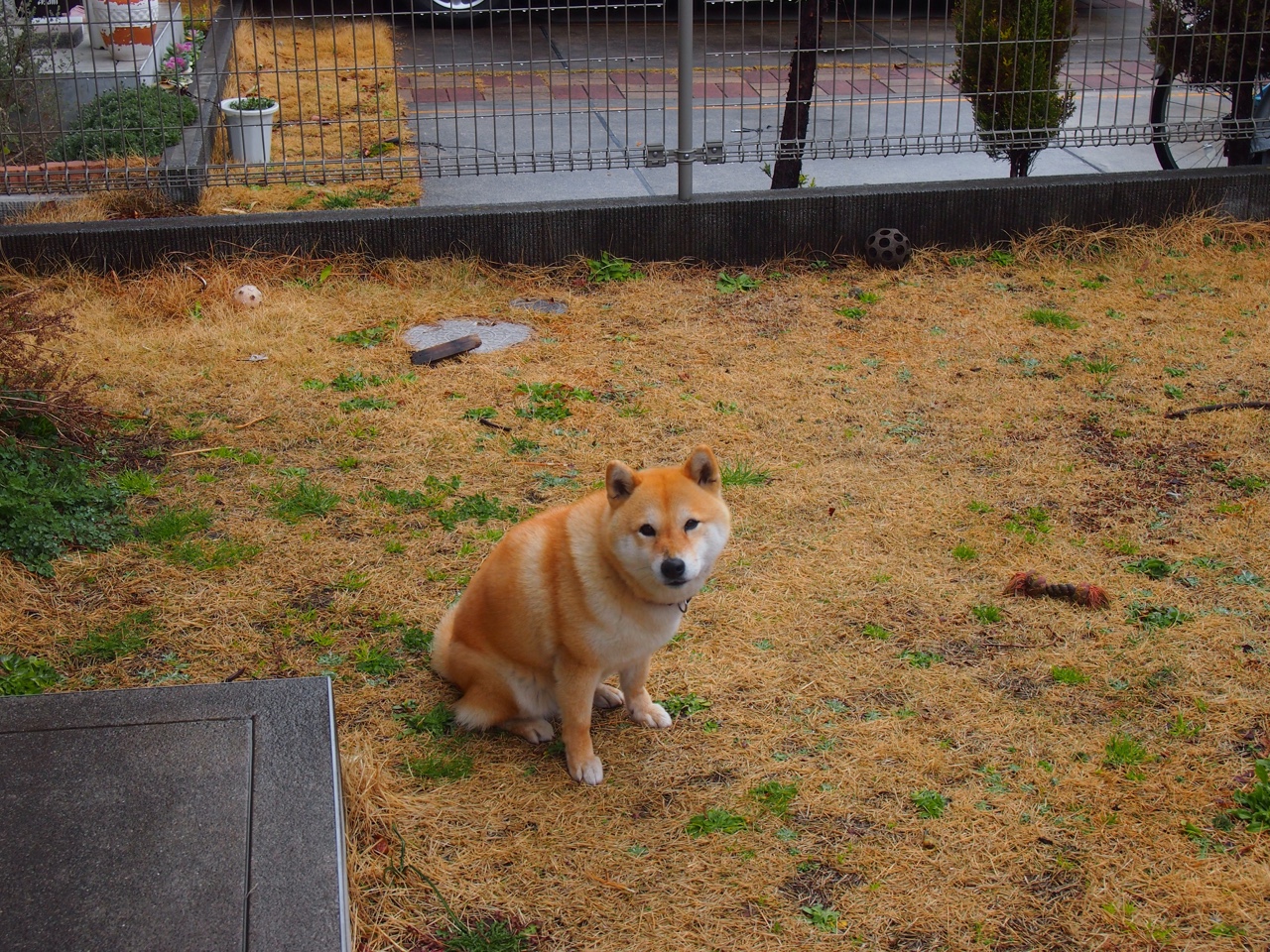 体育界热点:名星球队胜负如何?,明星球队有哪些