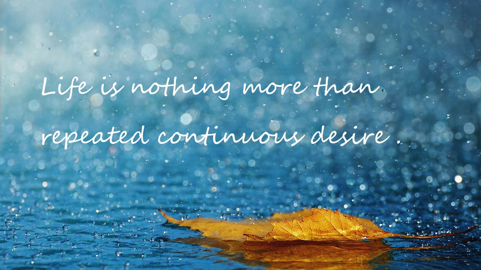 厦门蓝狮队在比赛中陷入困境,寻求突破,厦门蓝狮进球集锦