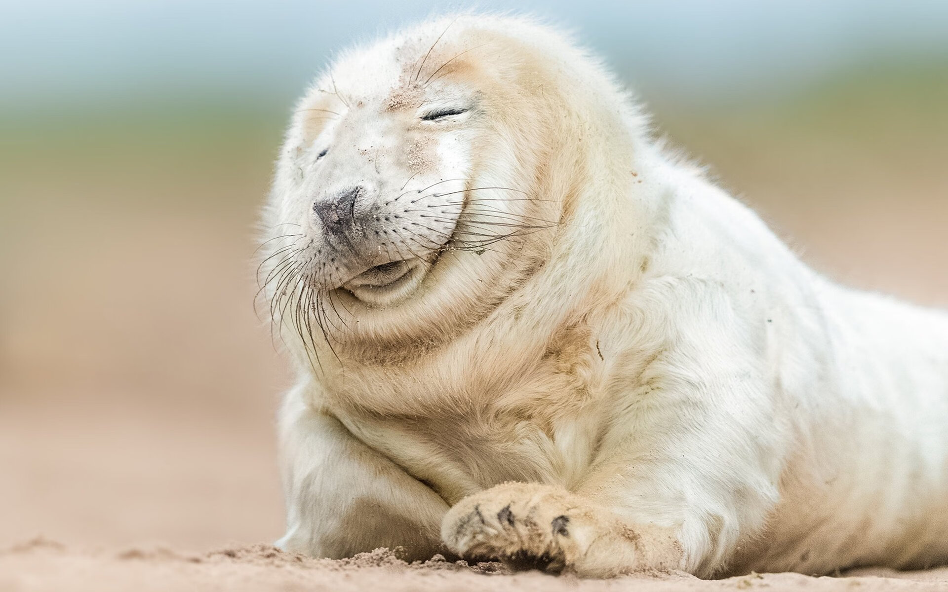 史密斯决赛细节体现多年磨砺,史密斯jr集锦