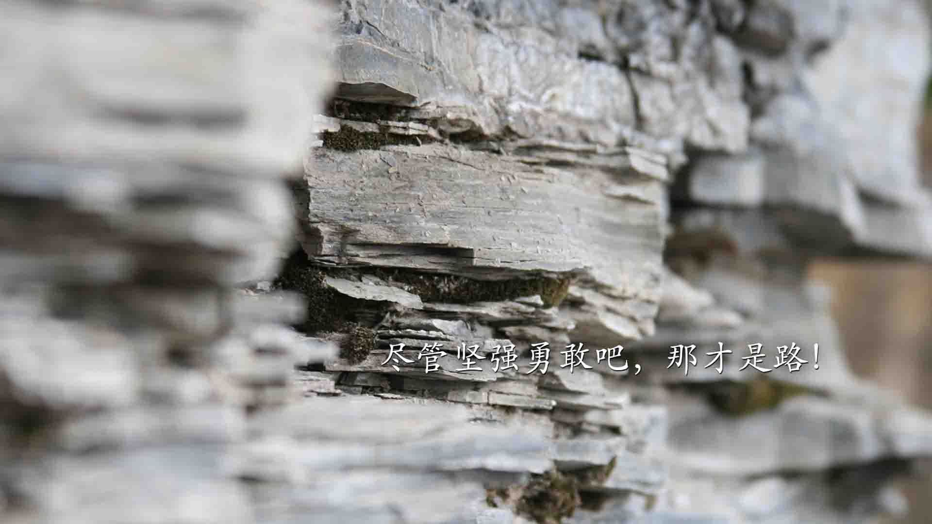 俱乐部历史回顾：那些辉煌的黄金时代，俱乐部的诞生