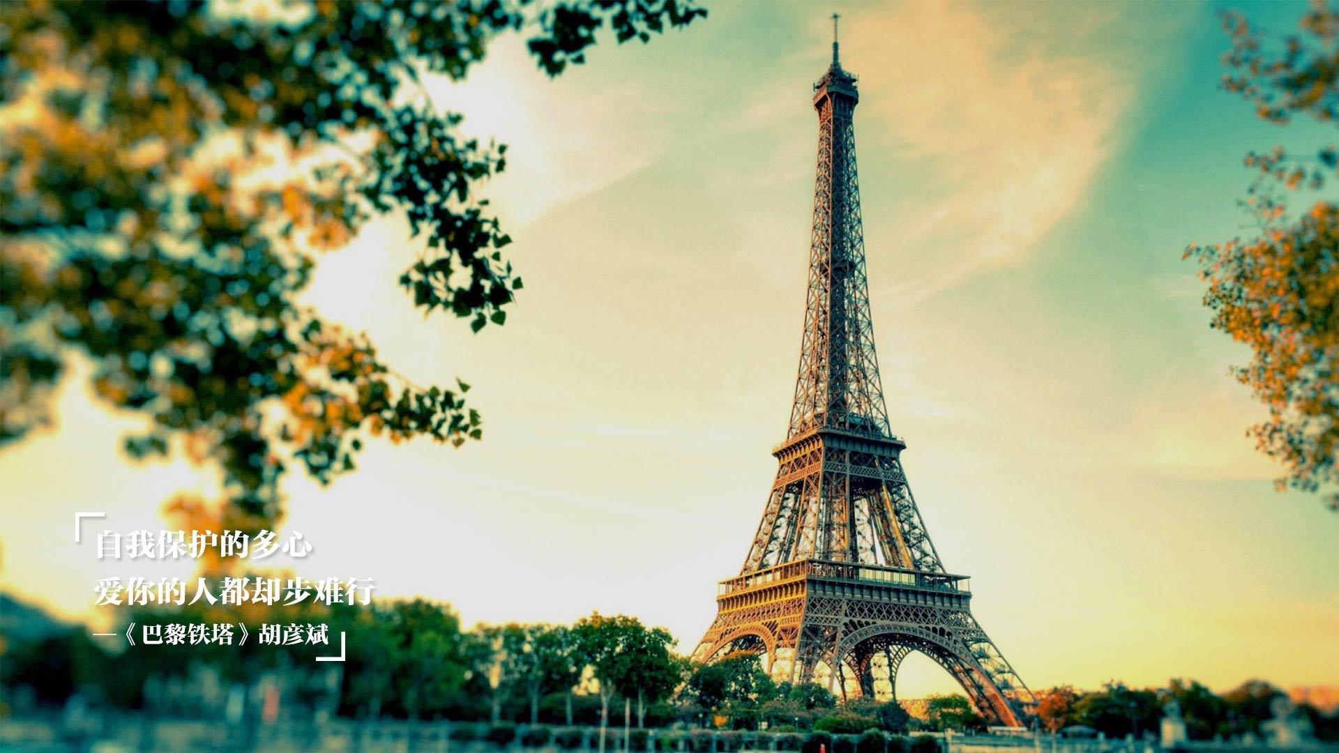 残疾人体育赛事组织管理体系建设,残疾人体育赛事组织管理体系建设方案