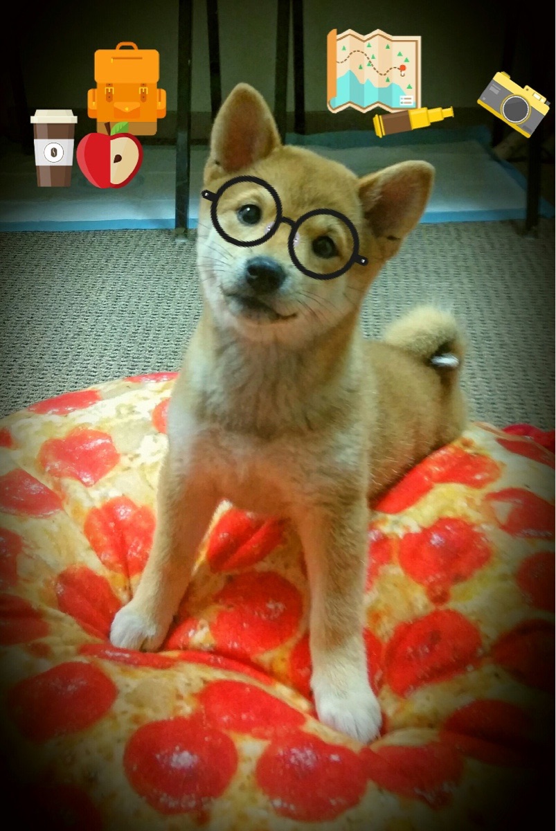 全国青少年足球超级联赛战况激烈，全国青少年少年足球联赛