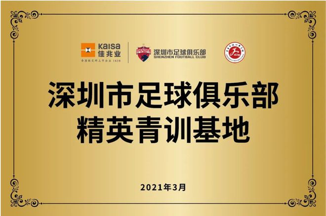 关于爱游戏APP:中国足球青训基地可持续发展模式：多元化收入来源与精细化运营管理的信息